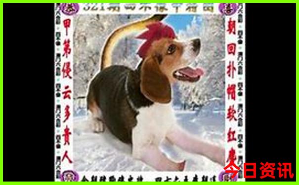 湖北恩施避暑胜地